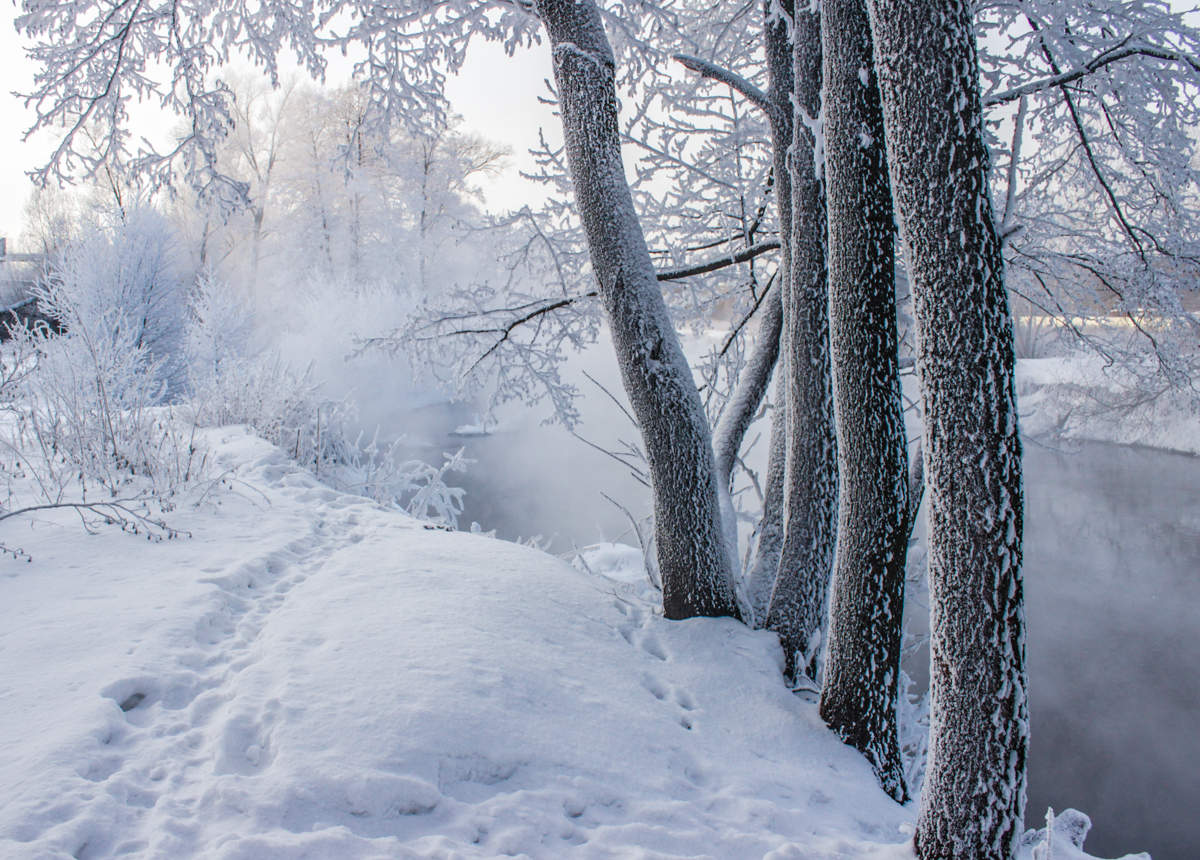 зимними тропами
