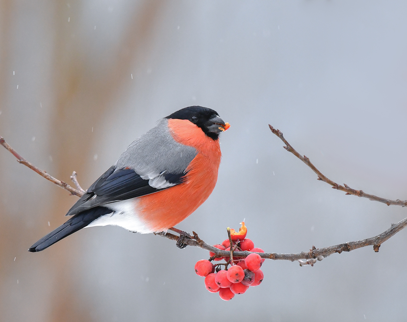 Зимняя картинка