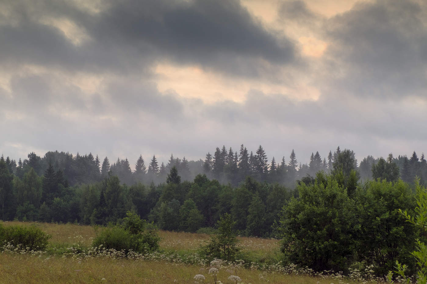 Дальний гром и дождь порой