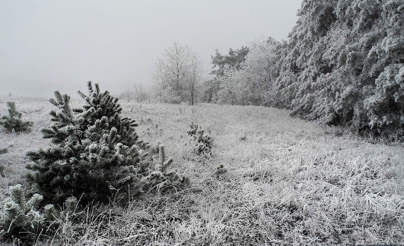 Этюд от зимы.