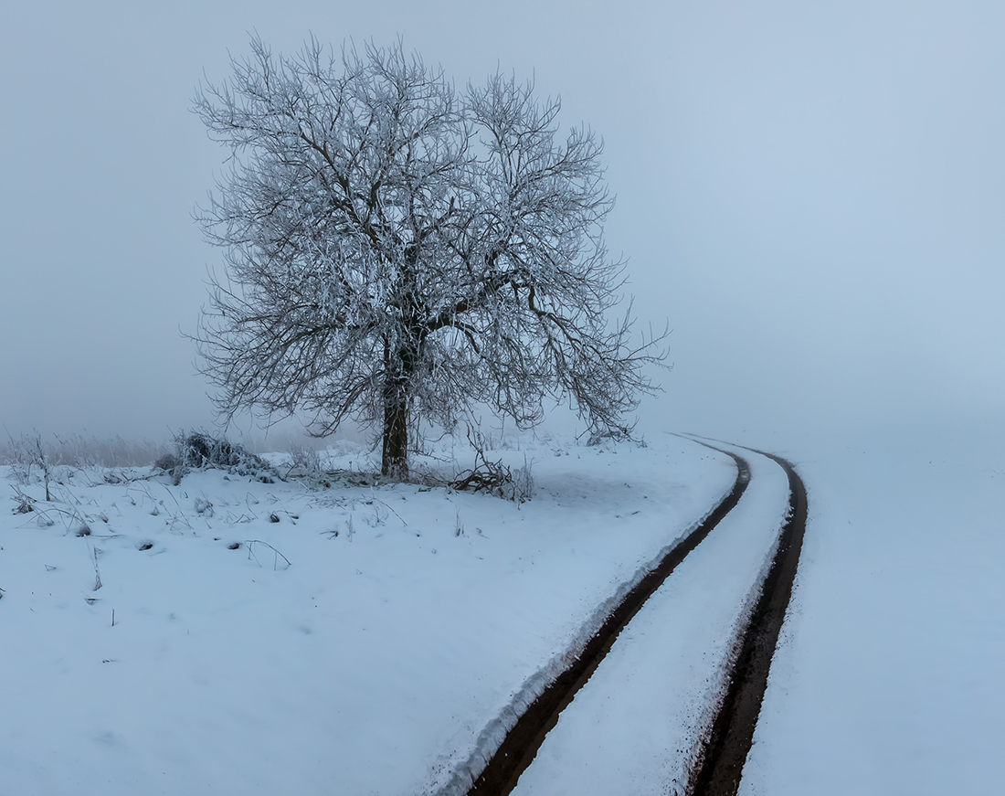 Снежная графика