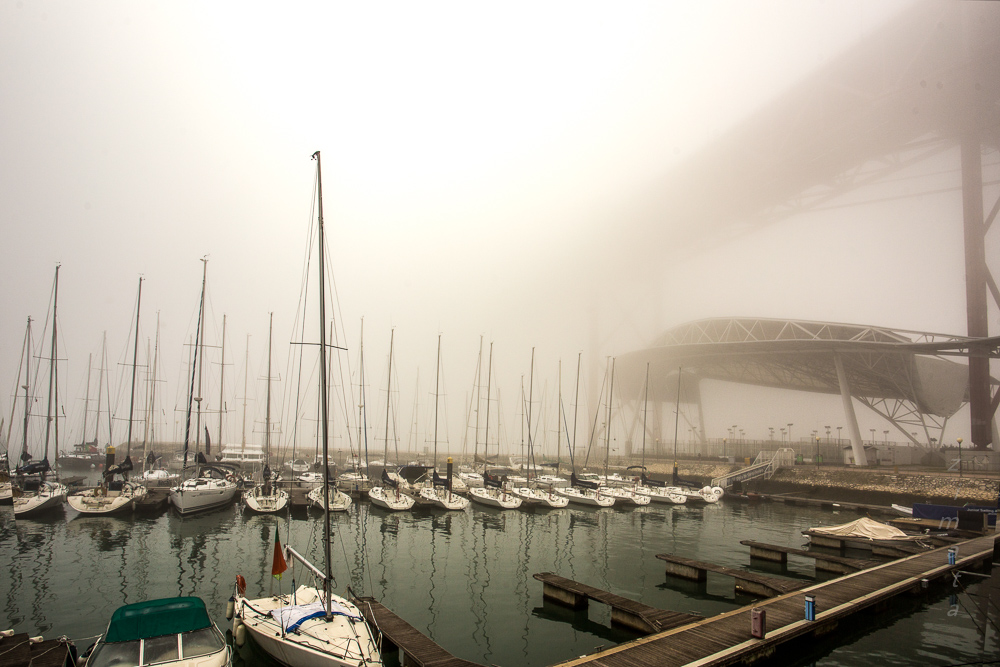 сплошной туман