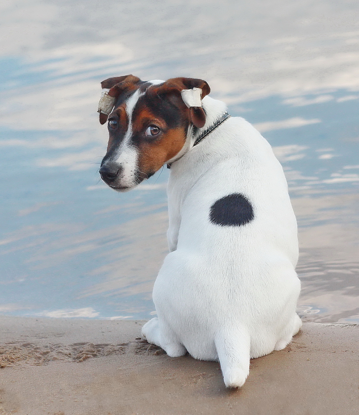 хозяин сказал так надо!