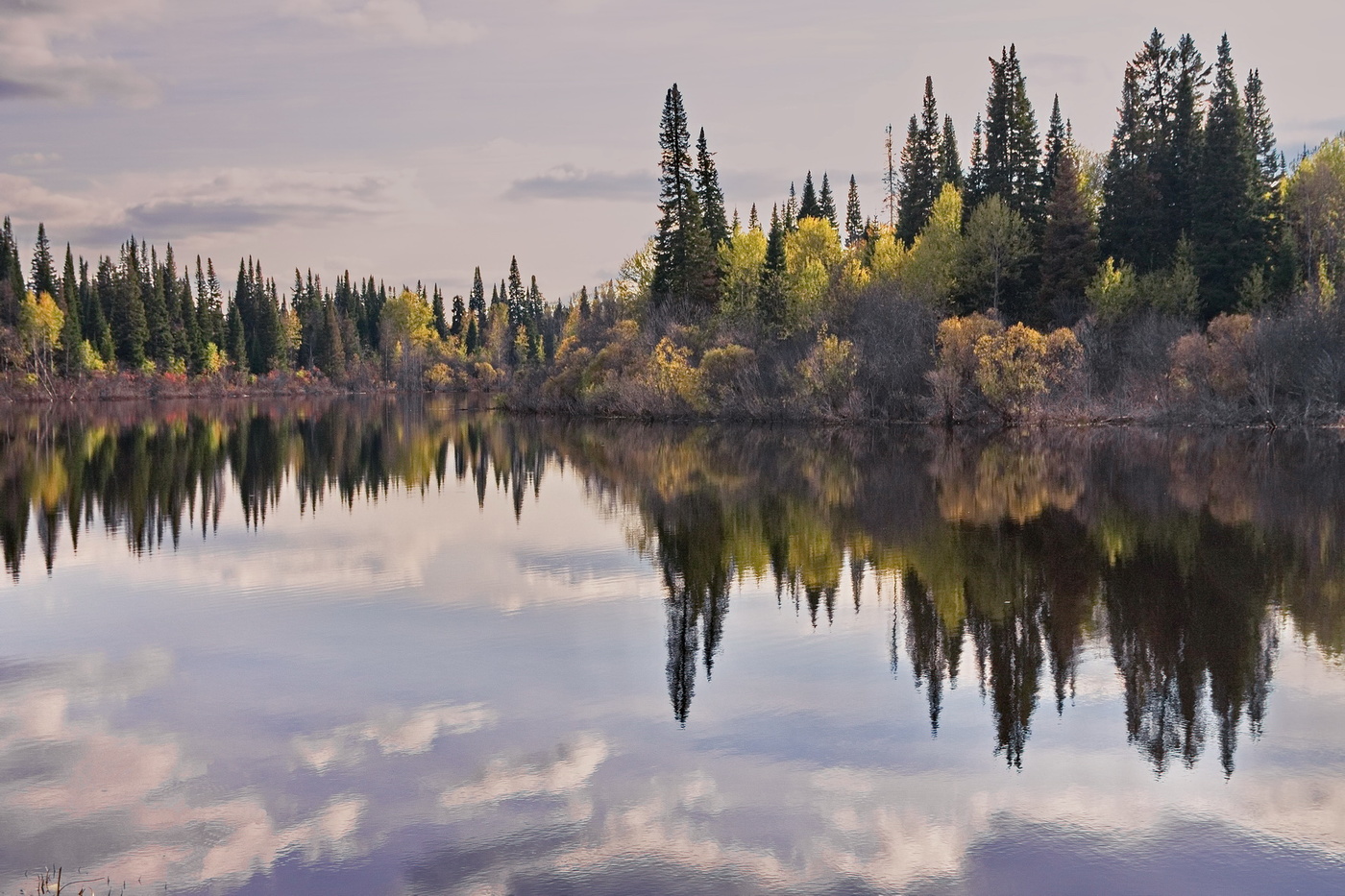 **ЛЕСНОЕ ОЗЕРО*