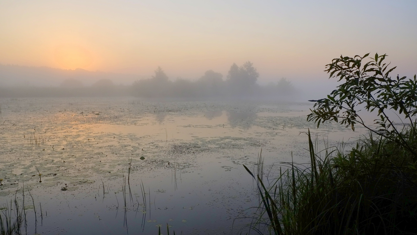 Солнце ещё не встало.
