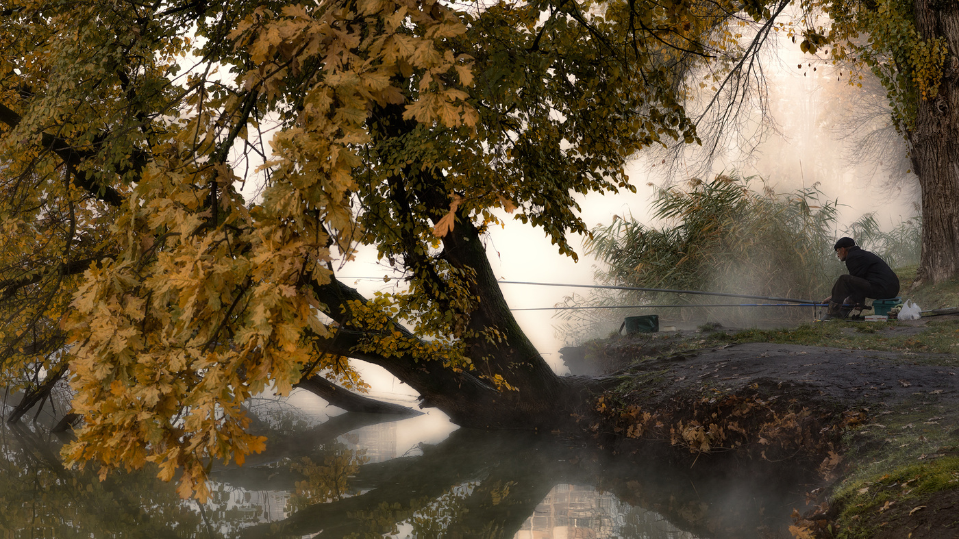 Ни хвоста ни чешуи