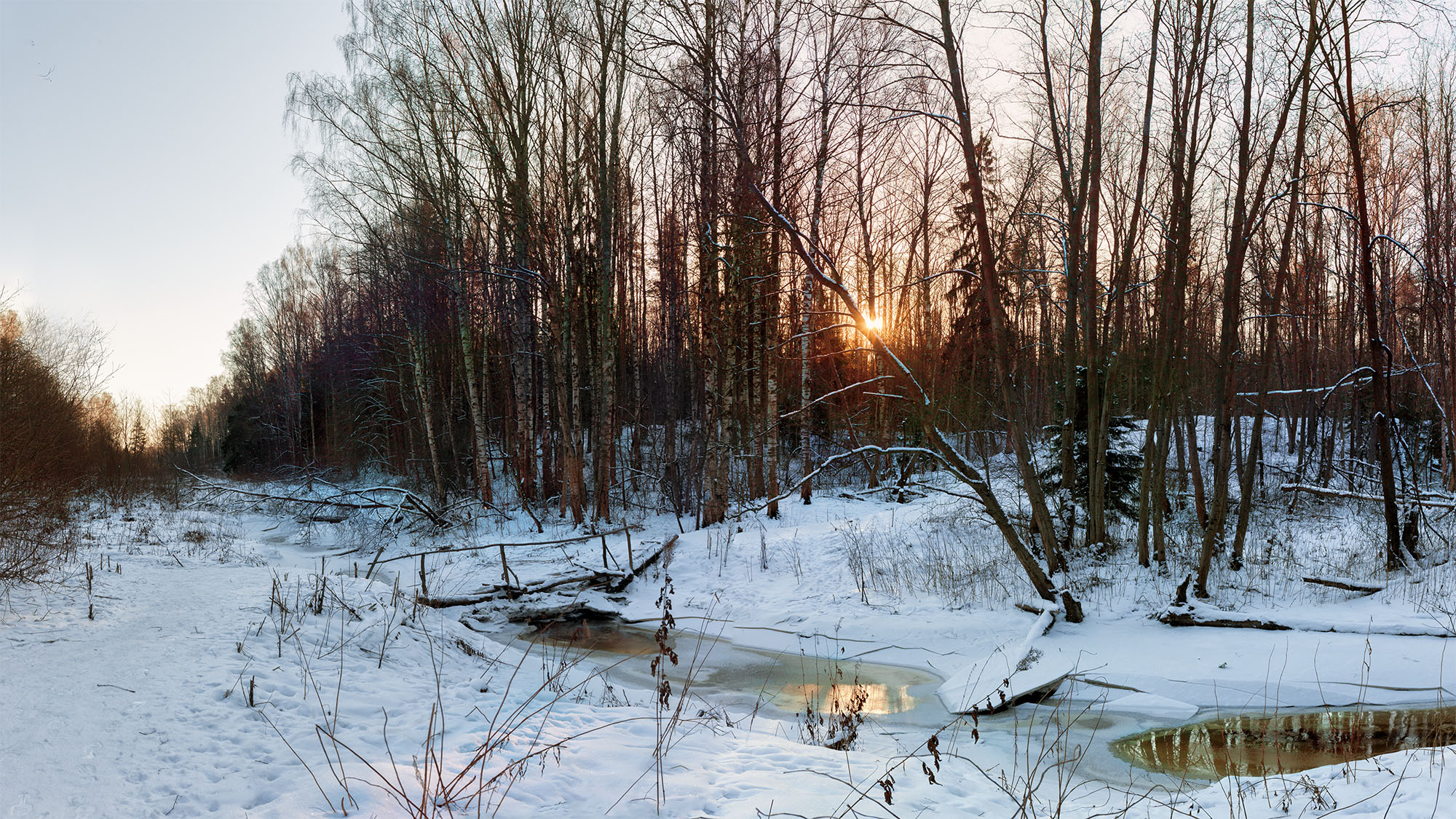 Зима .Январь..