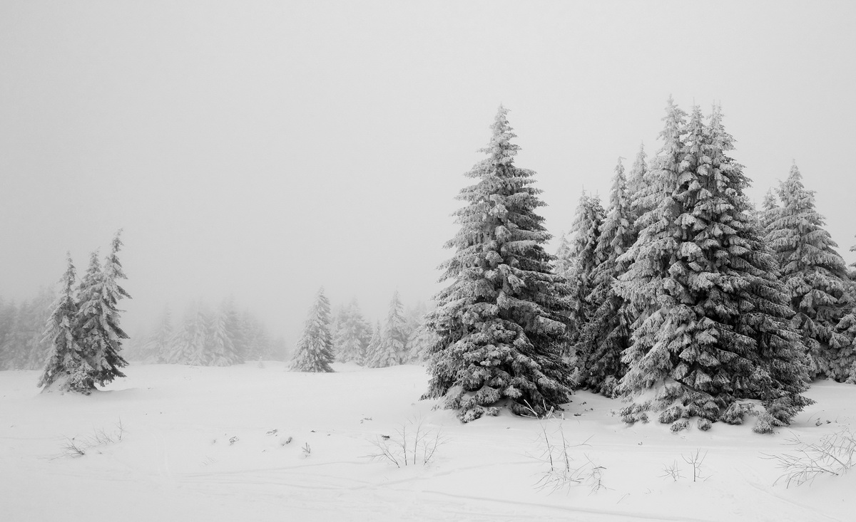 Опять метель...