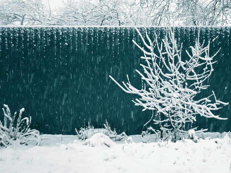 Не первый снег