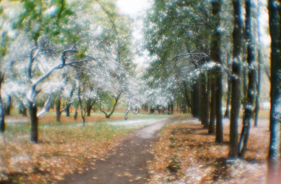 Первый снег