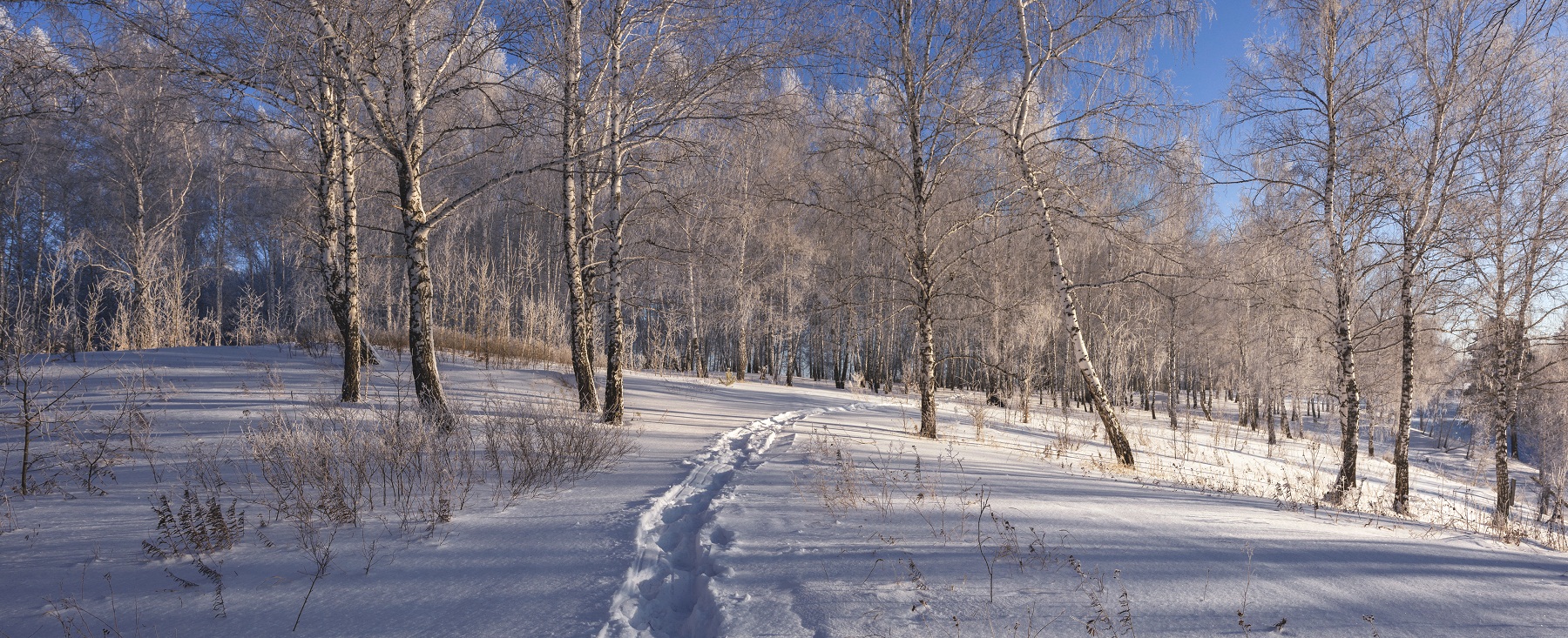 Не первый снег