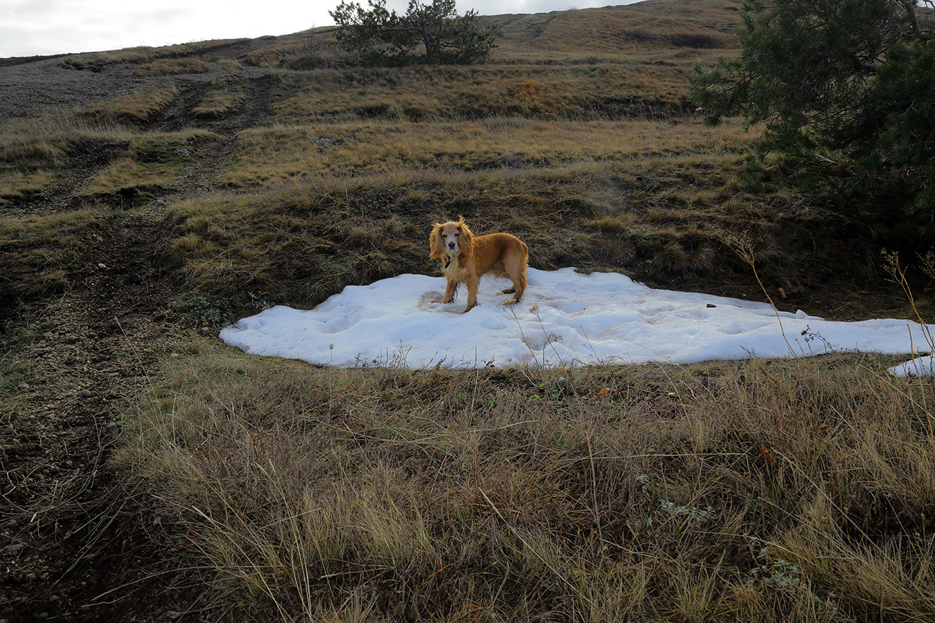 Не первый снег