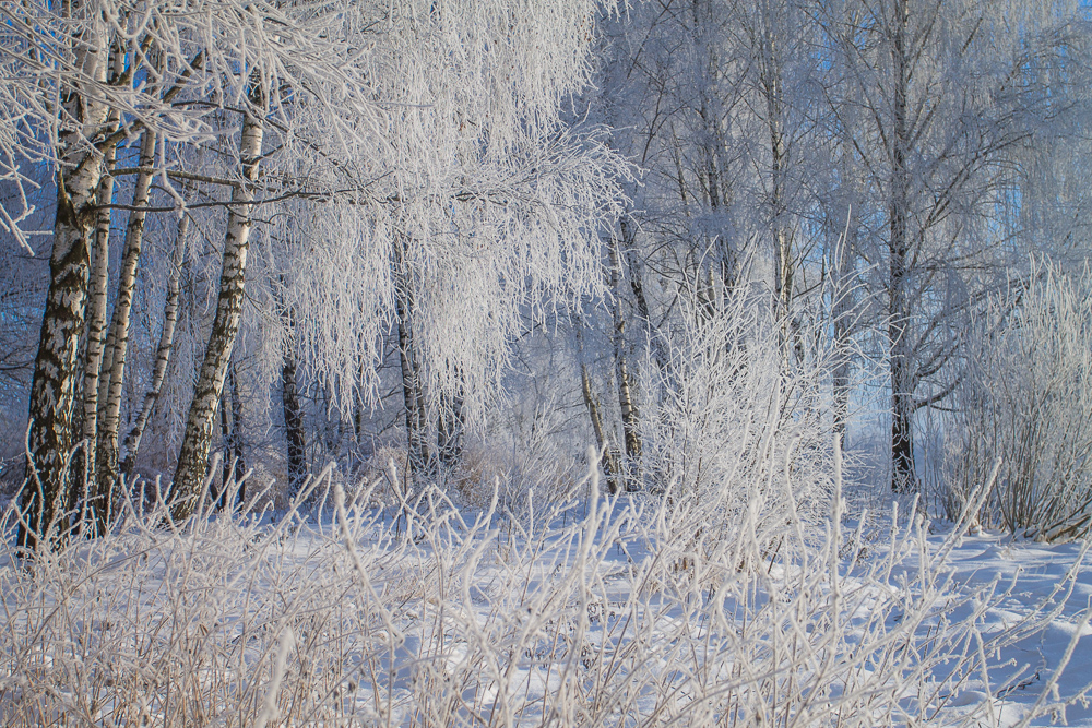 Не первый снег