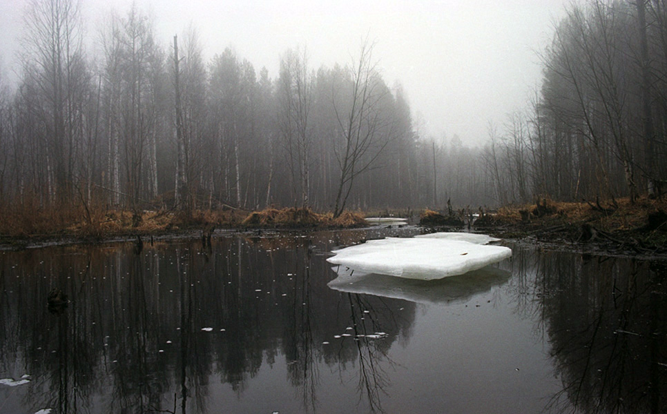 Не первый снег