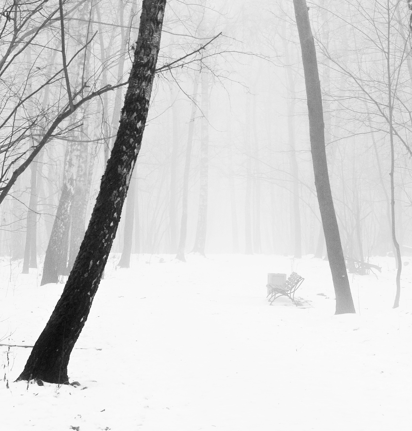 Пустая скамья ...