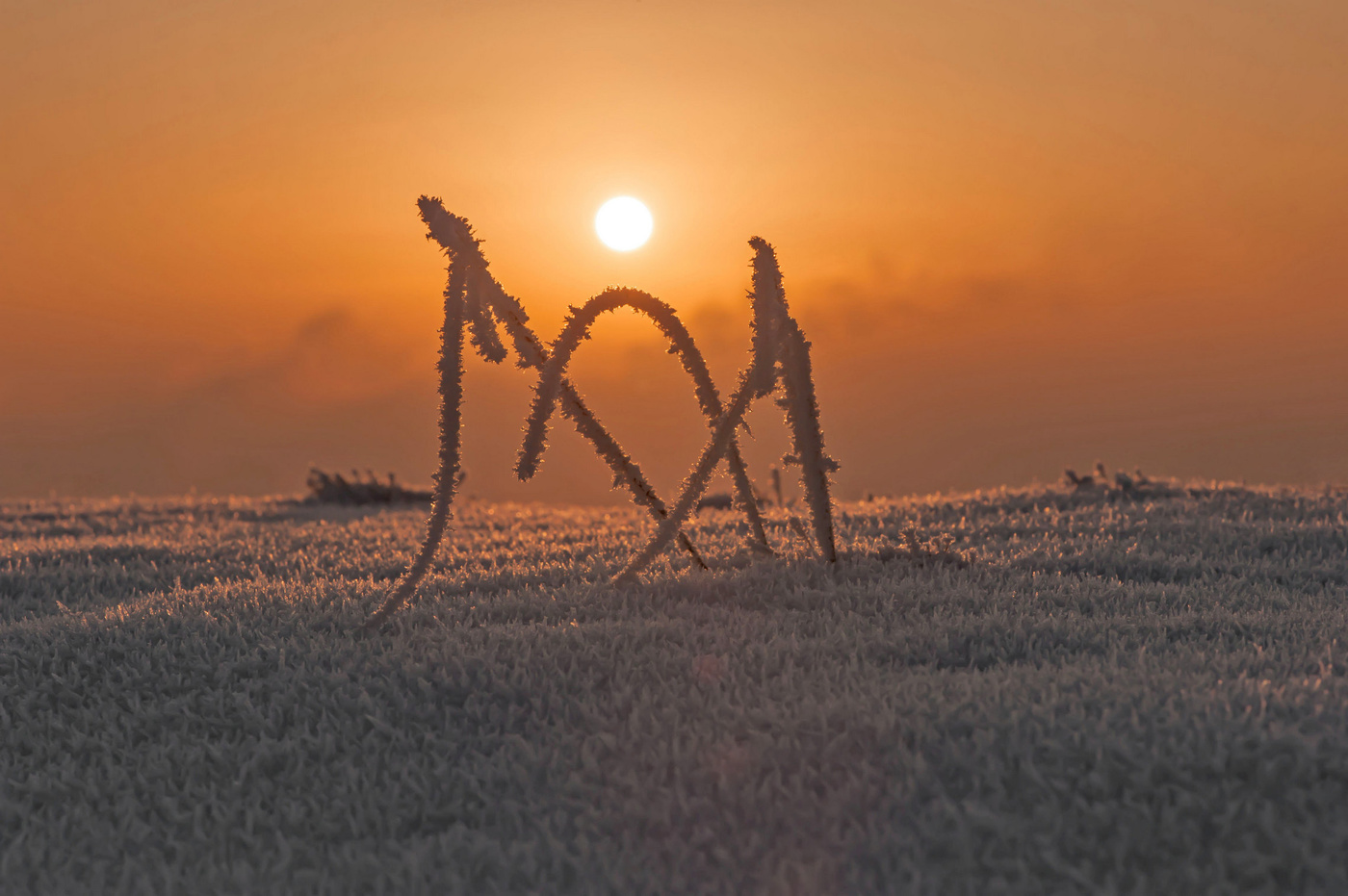 На закате очередного дня...