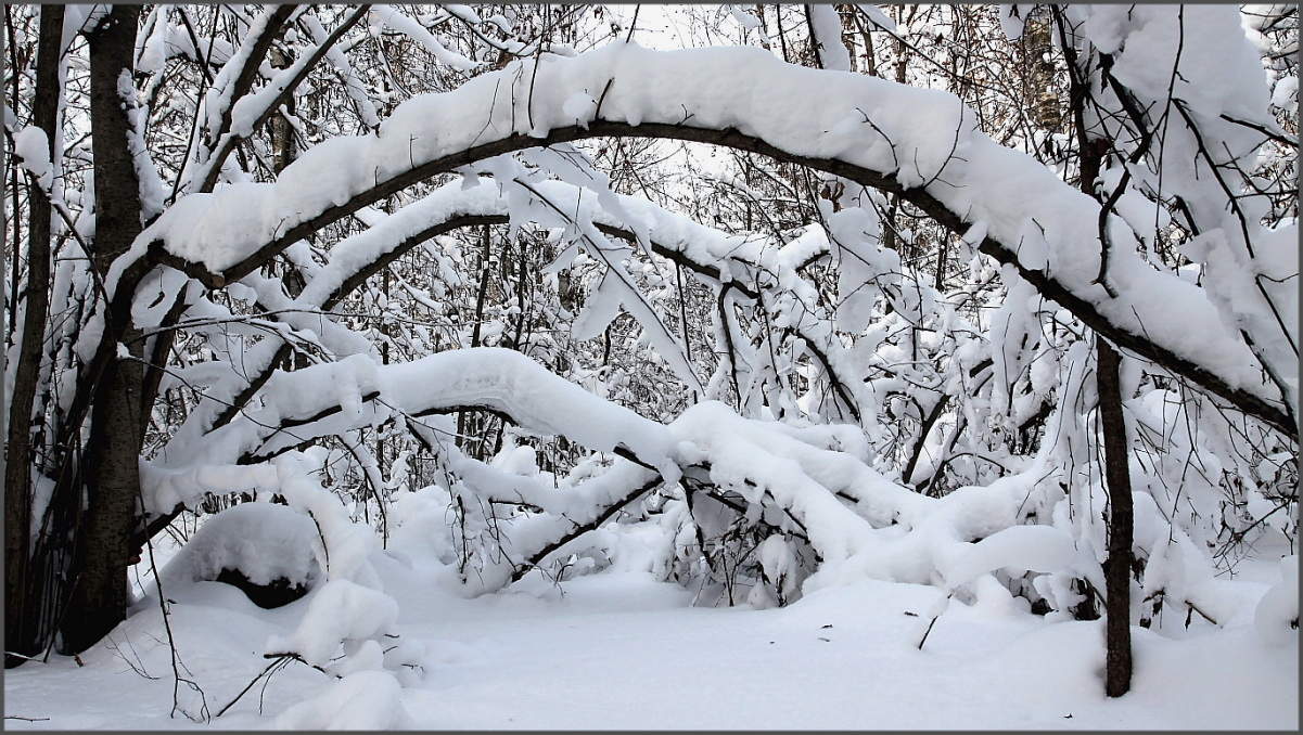 Не первый снег