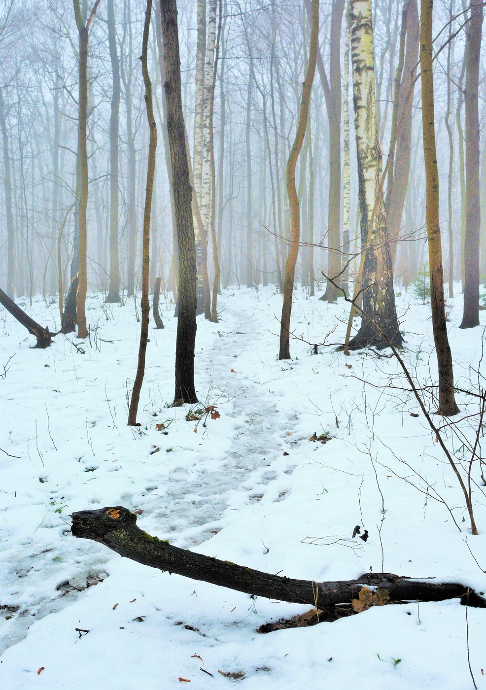 Утренний этюд ...