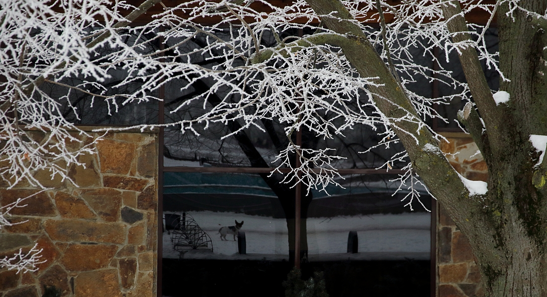 неожиданное отражение