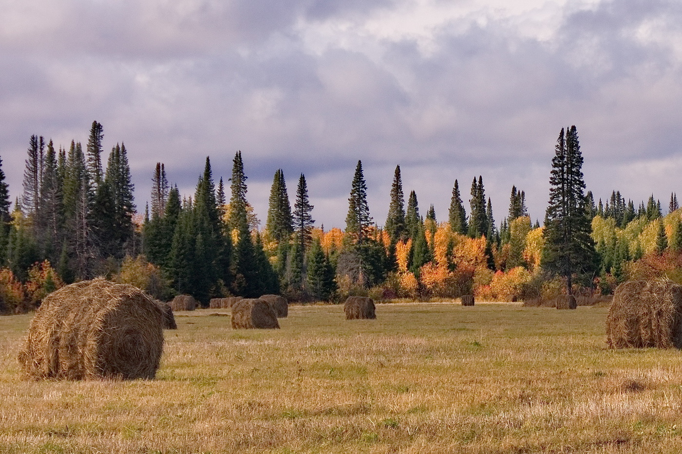ОСЕННИЙ ДЕНЬ**