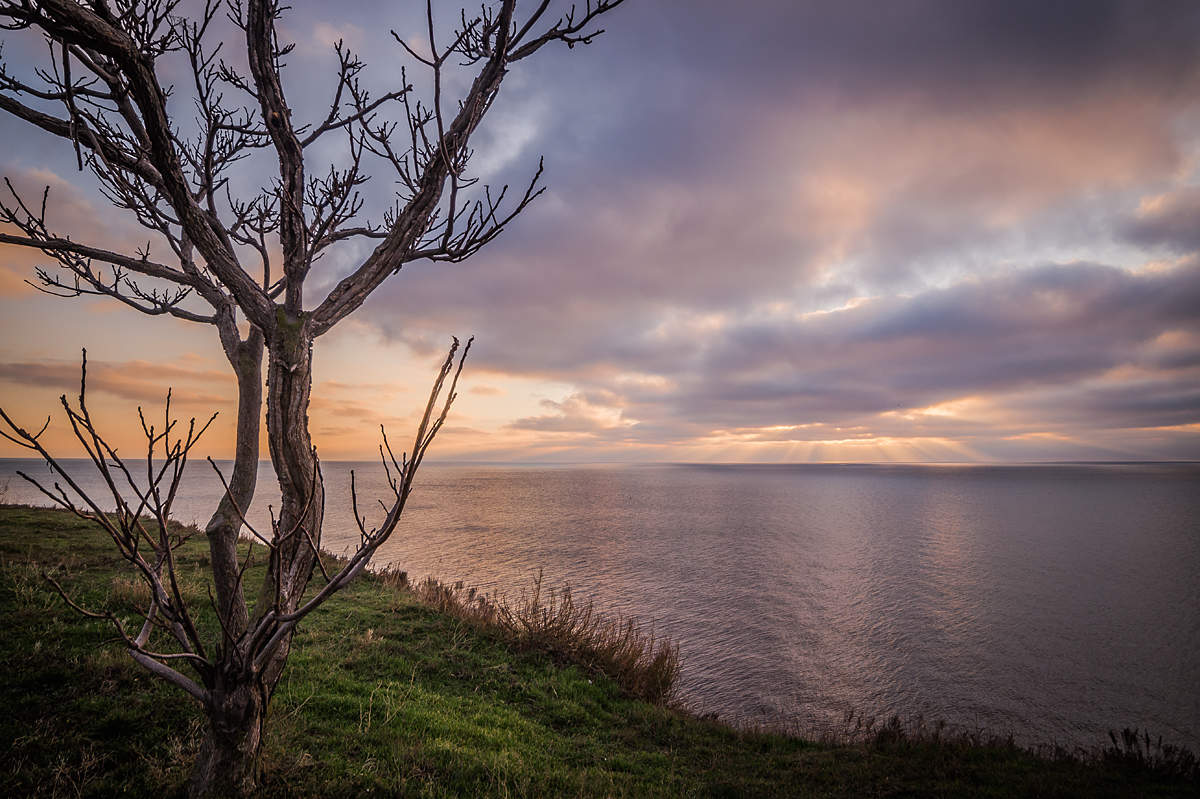 Анапа, январь..