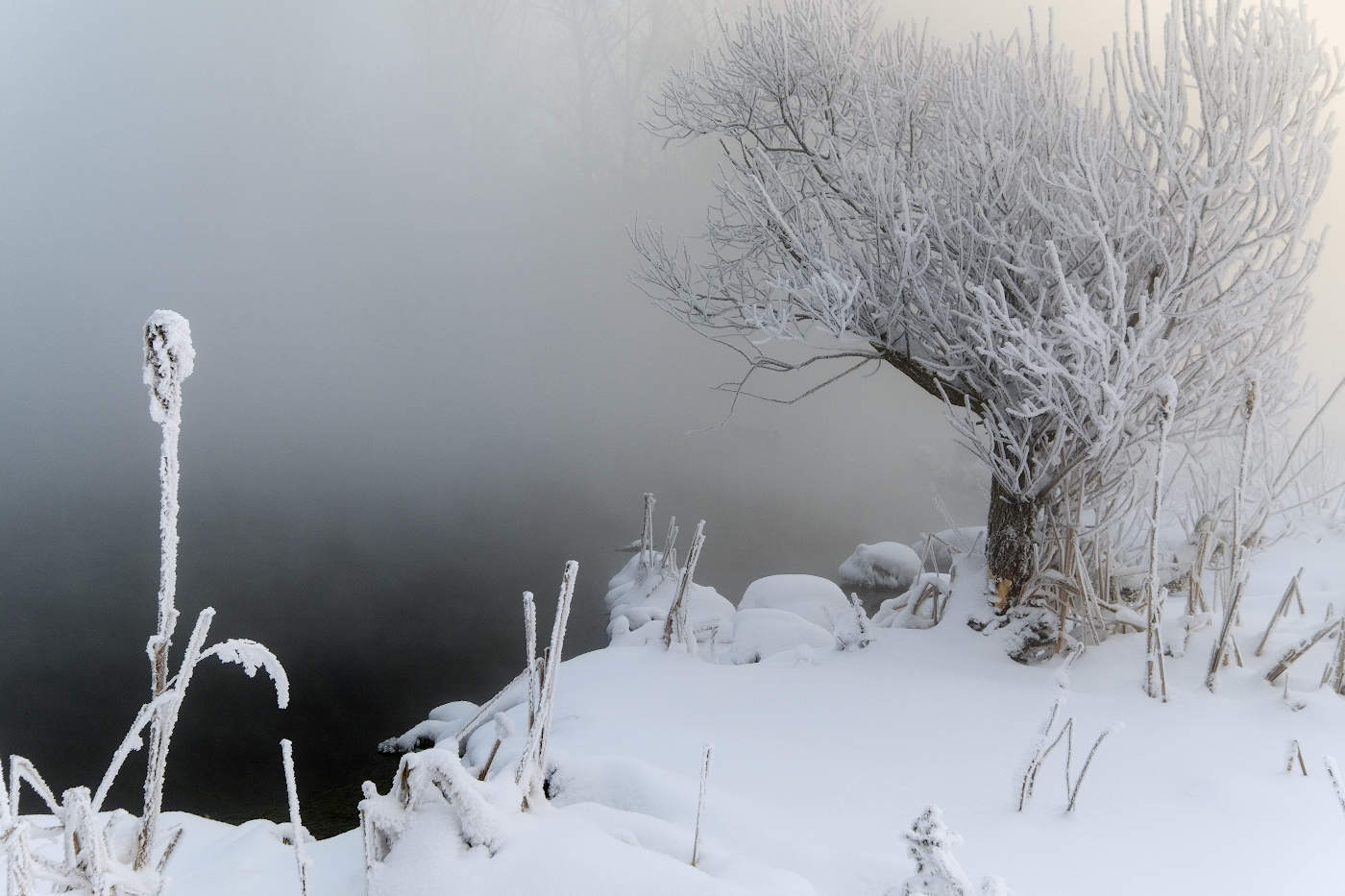 Утренний морозный иней