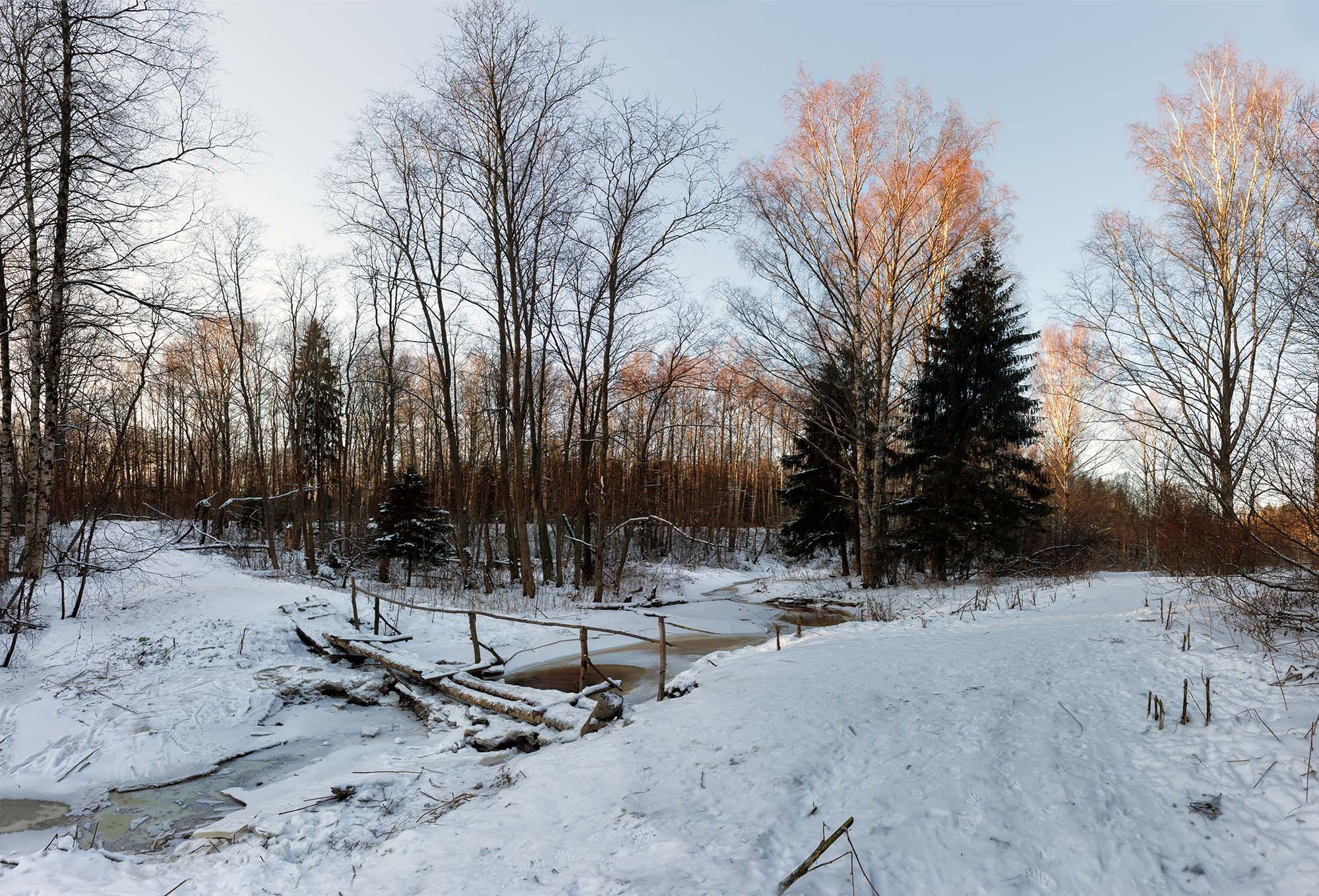 Зима .Январь..