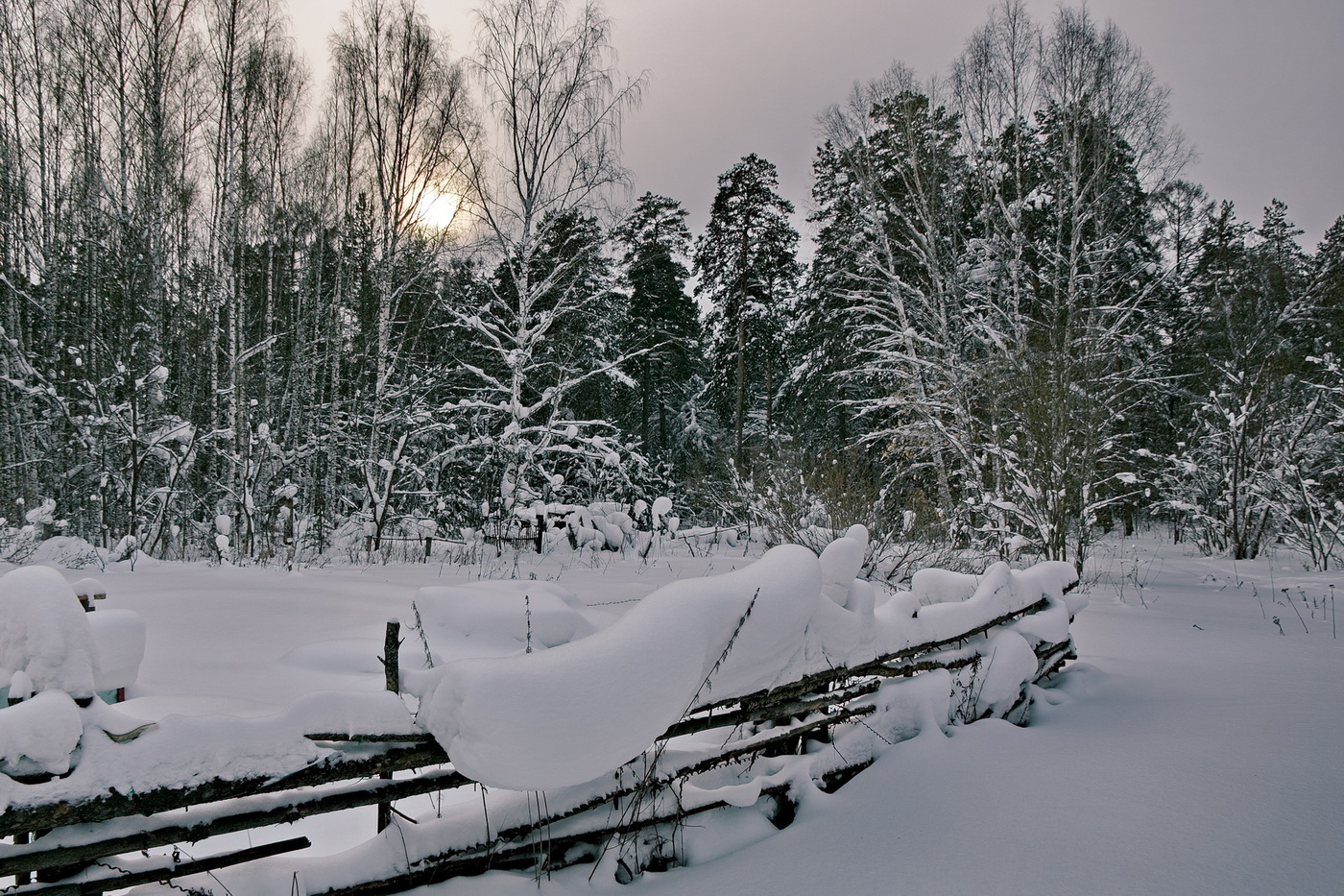 ПОСЛЕ СНЕГОПАДА