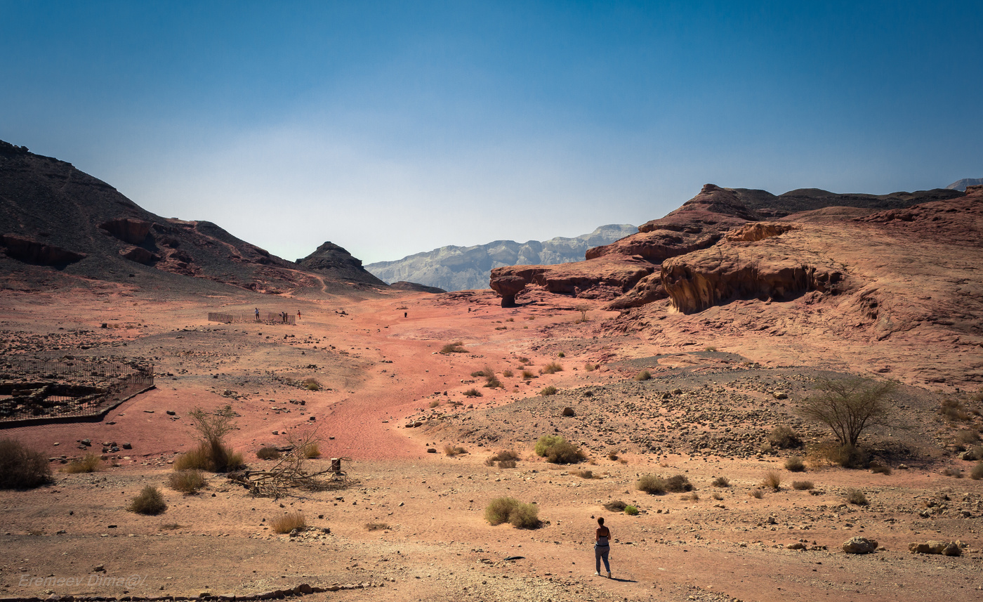 Медные рудники...