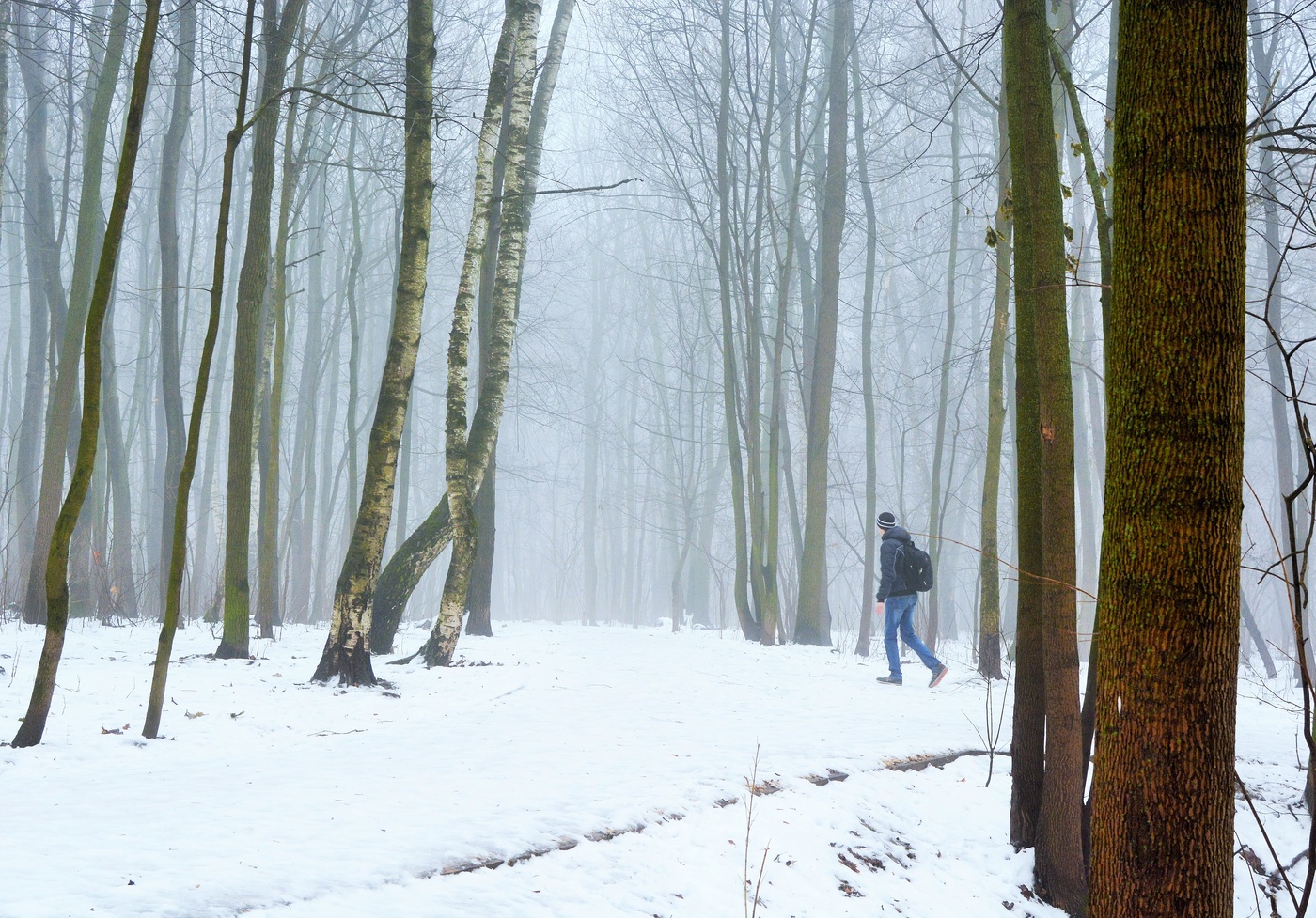 "А лес стоит загадочный ..."