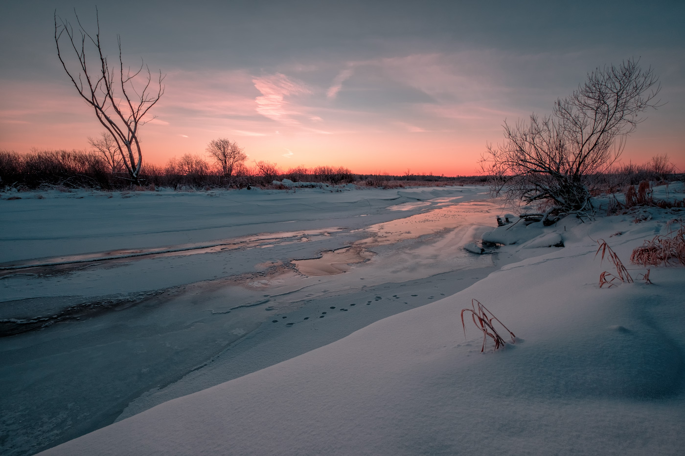 Предрассветное, морозное