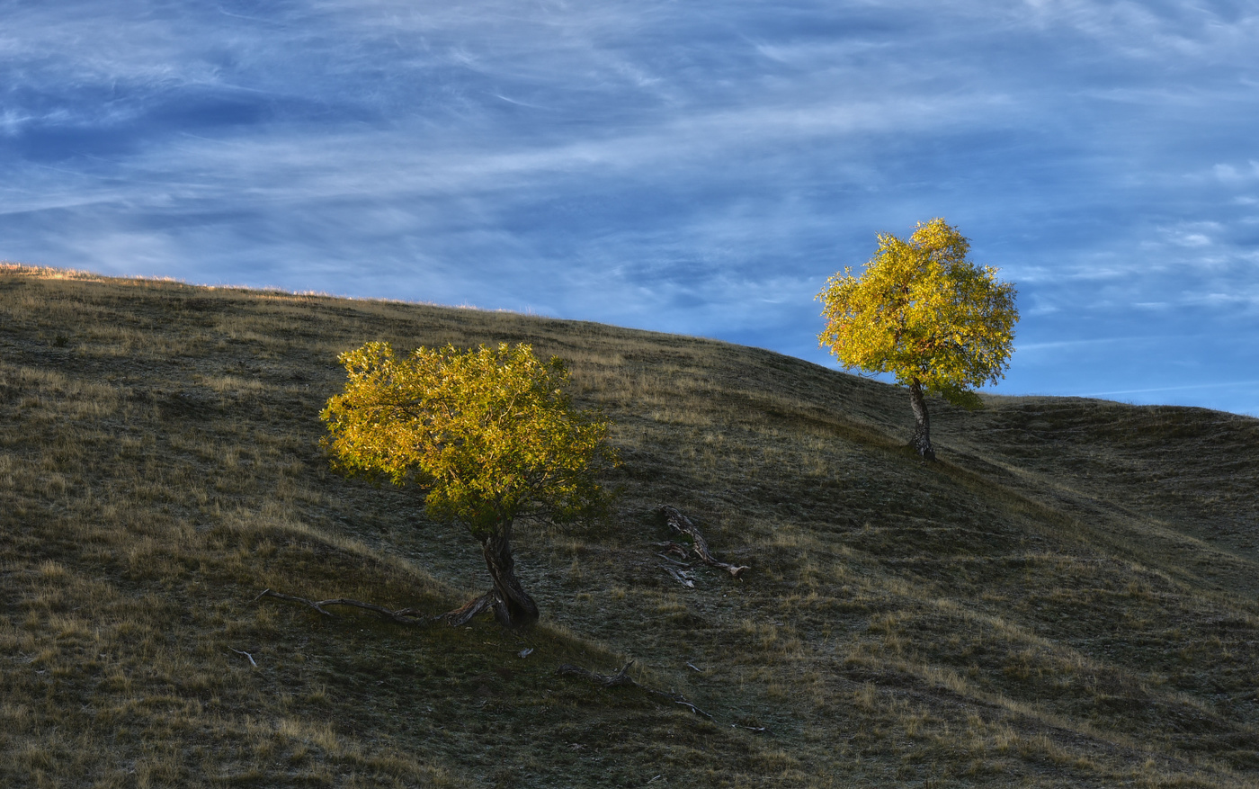 В первых утренних лучах...
