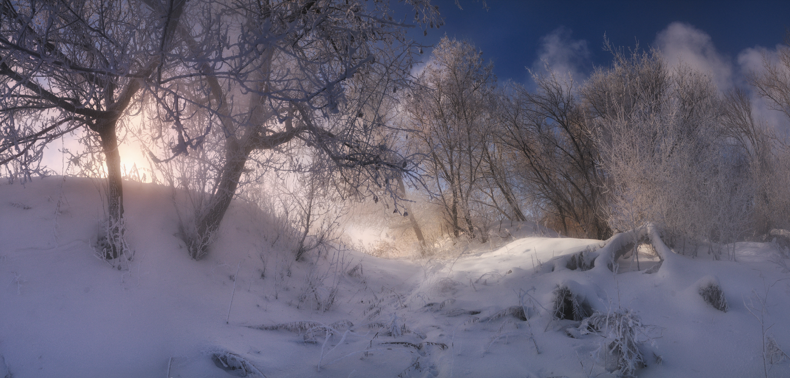 Утро морозное светом приветило...