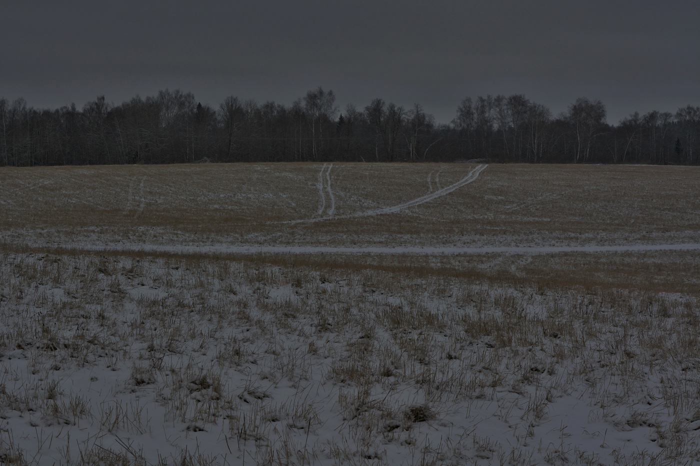 Время, когда волки выходят на охоту...