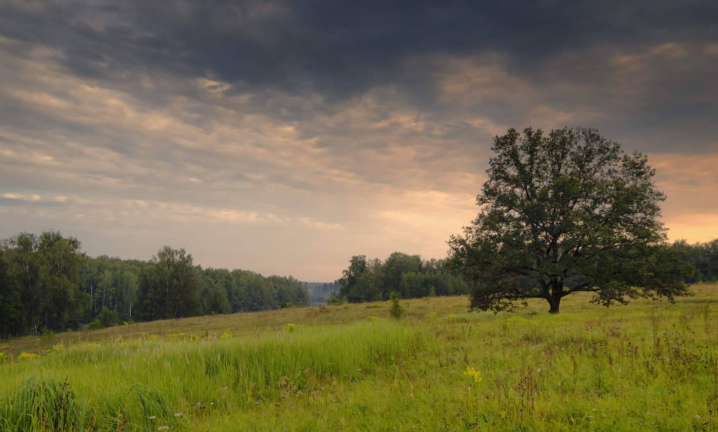 Начало хмурого дня