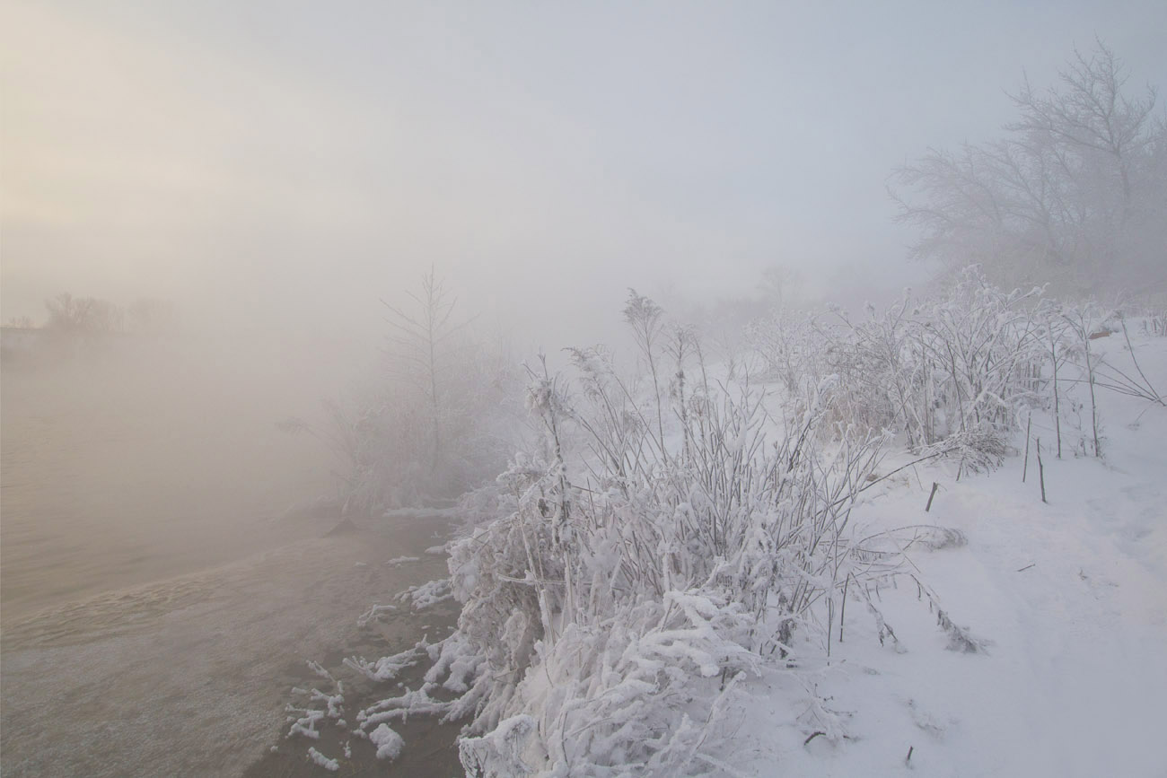Туманный январь