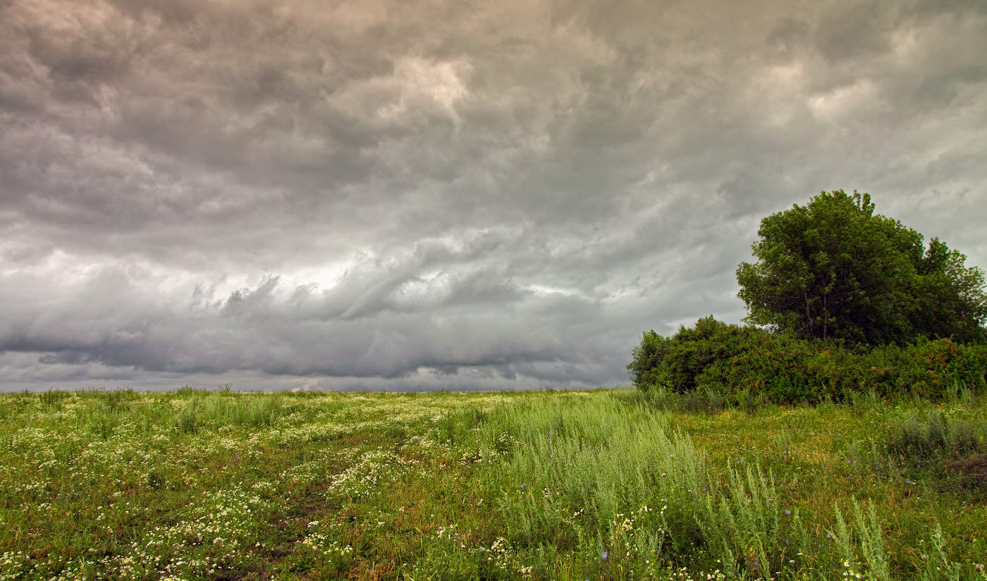 Атмосферные процессы
