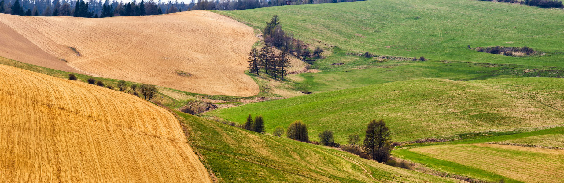 Словакия. Апрель на холмах
