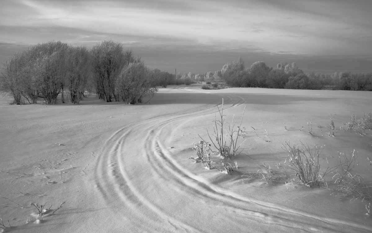 Зимний монохром