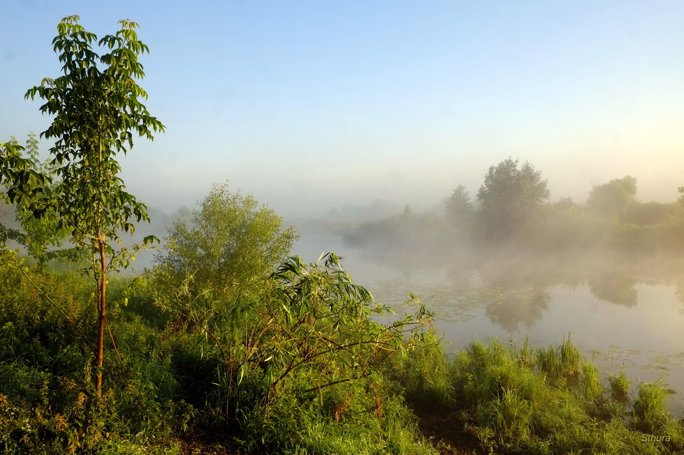 Туманный пейзаж.
