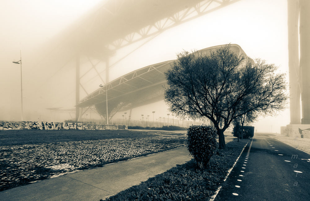 вариация на тему тумана