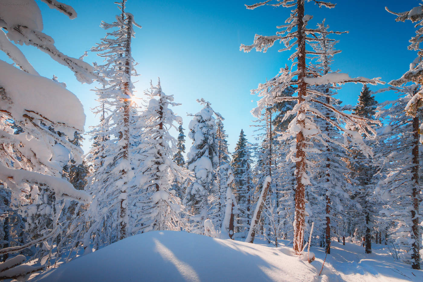 Солнечный денек)