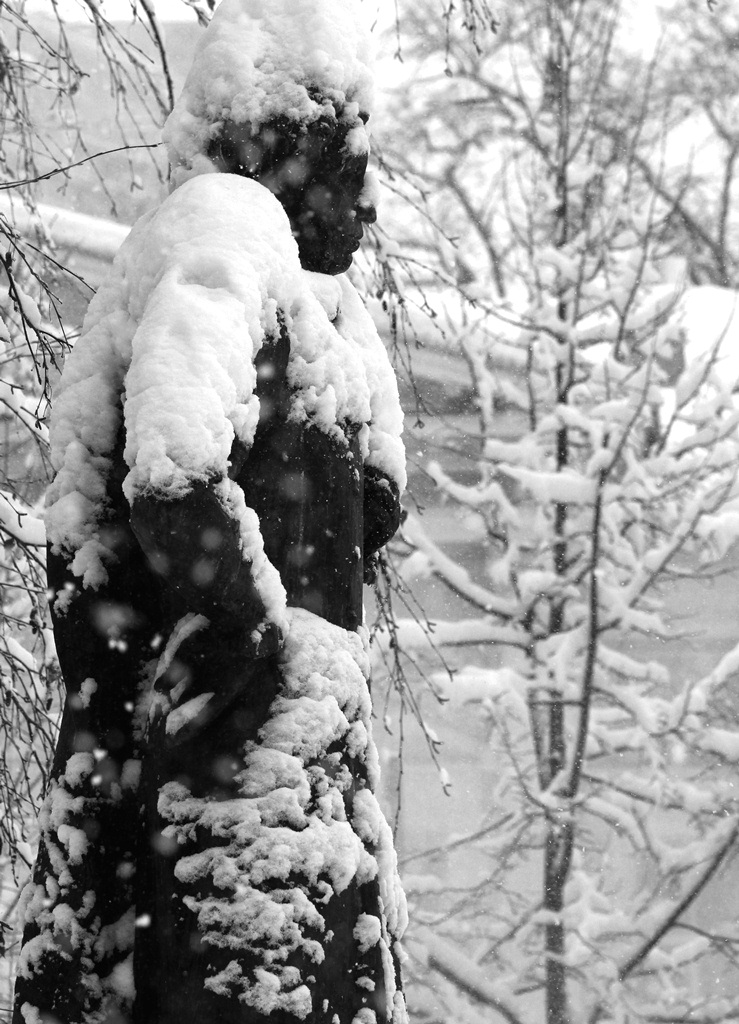 Пушкин зимой