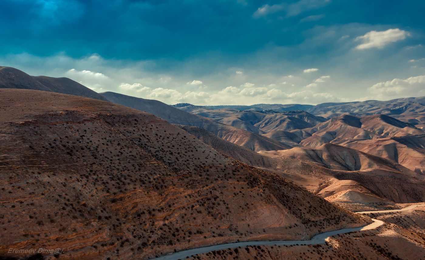 Иудейские холмы...