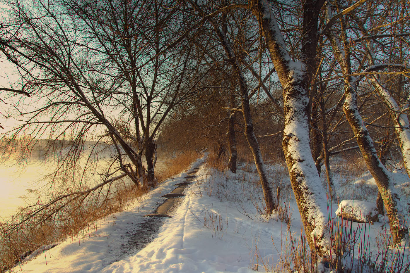 Тропинка в рассветный туман