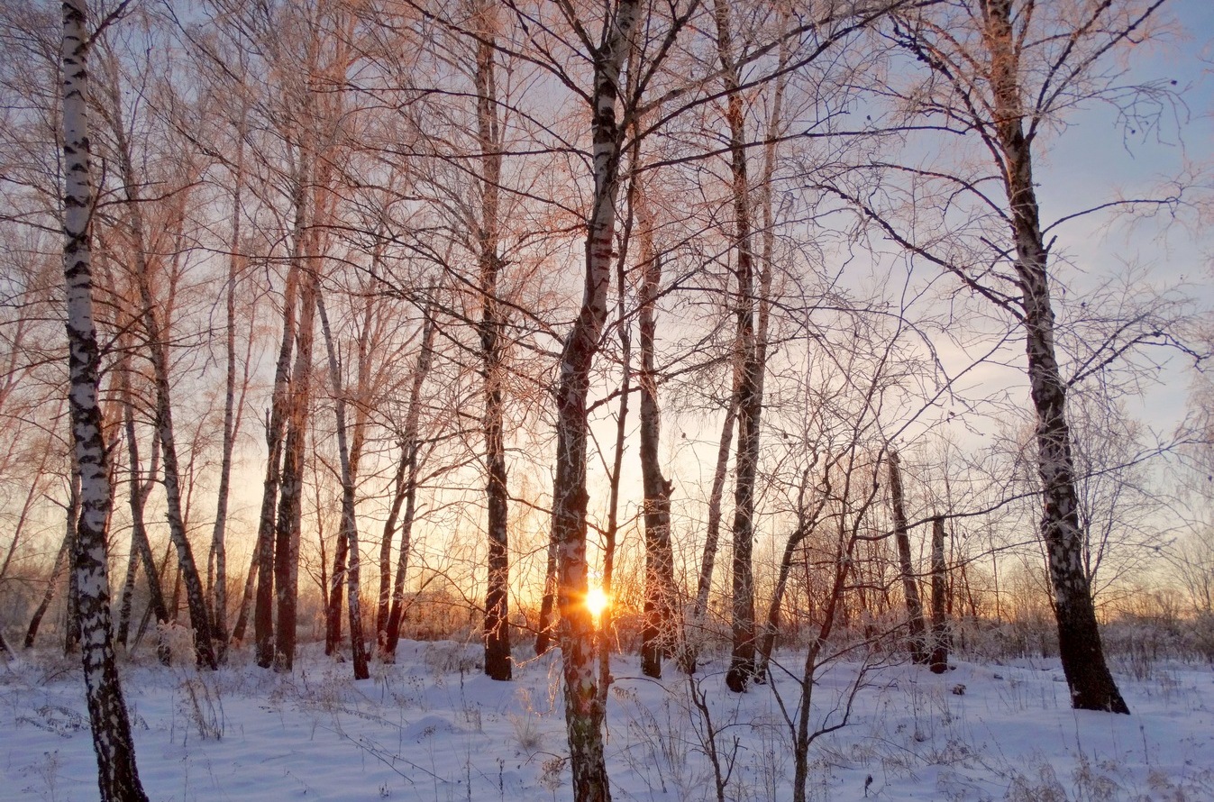 Вечернее зимнее солнце