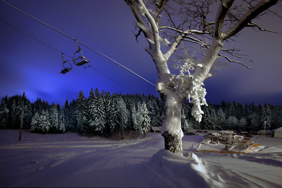 Остановка «Коралловая»