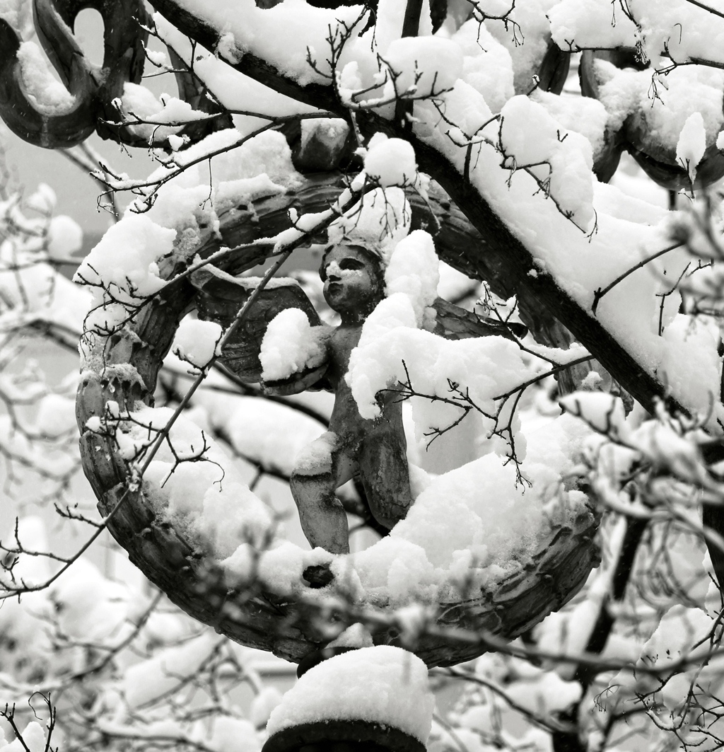 Ангел Натали