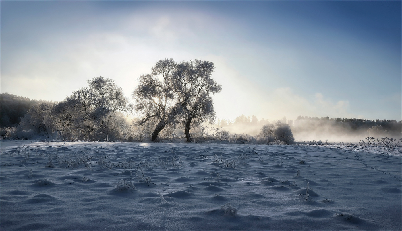 Обнимая дымкой