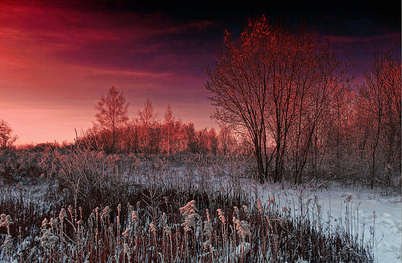 Близится морозная ночь